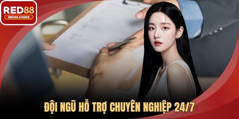 Đội ngũ hỗ trợ chuyên nghiệp 24/7