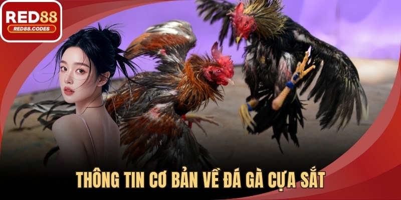Thông tin cơ bản về đá gà cựa sắt