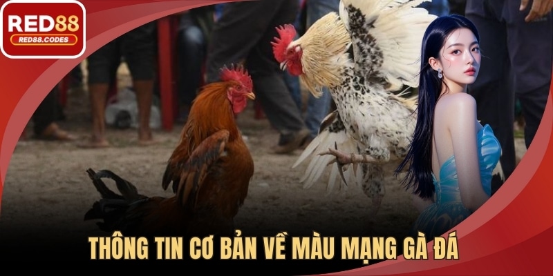Thông tin cơ bản về màu mạng gà đá