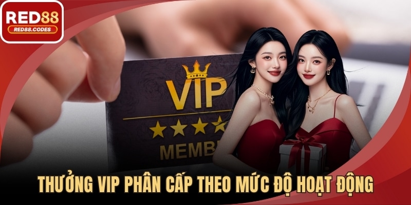 Thưởng VIP phân cấp theo mức độ hoạt động